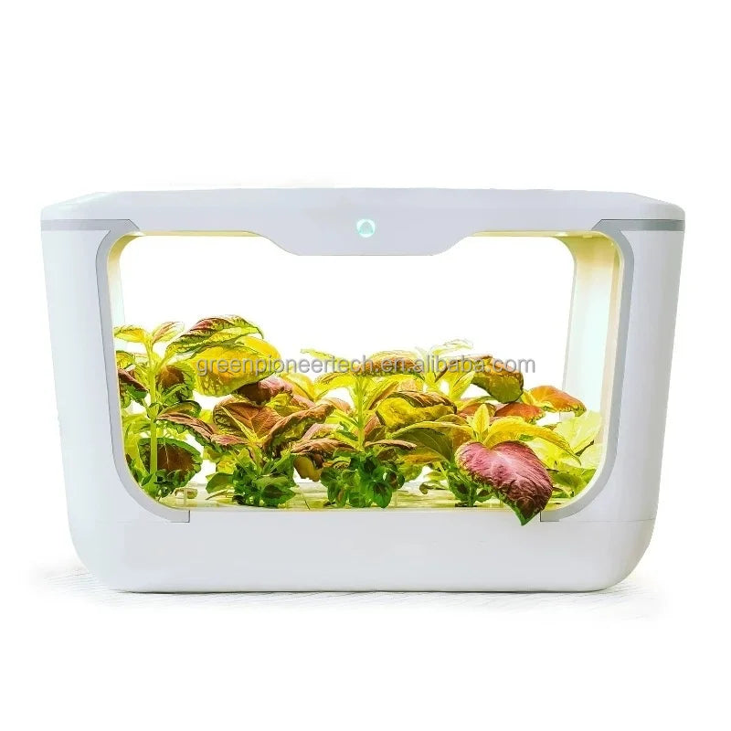 Grow Box