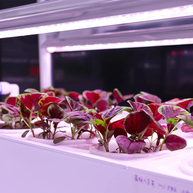 Grow Shelf 3.0