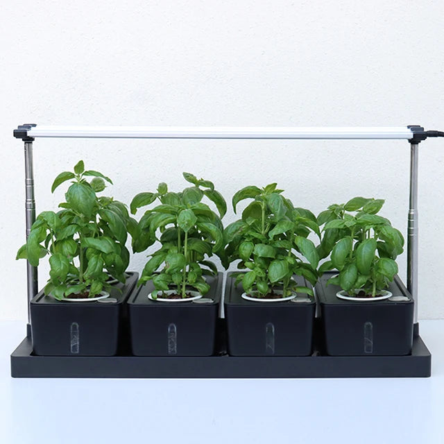 Grow Container