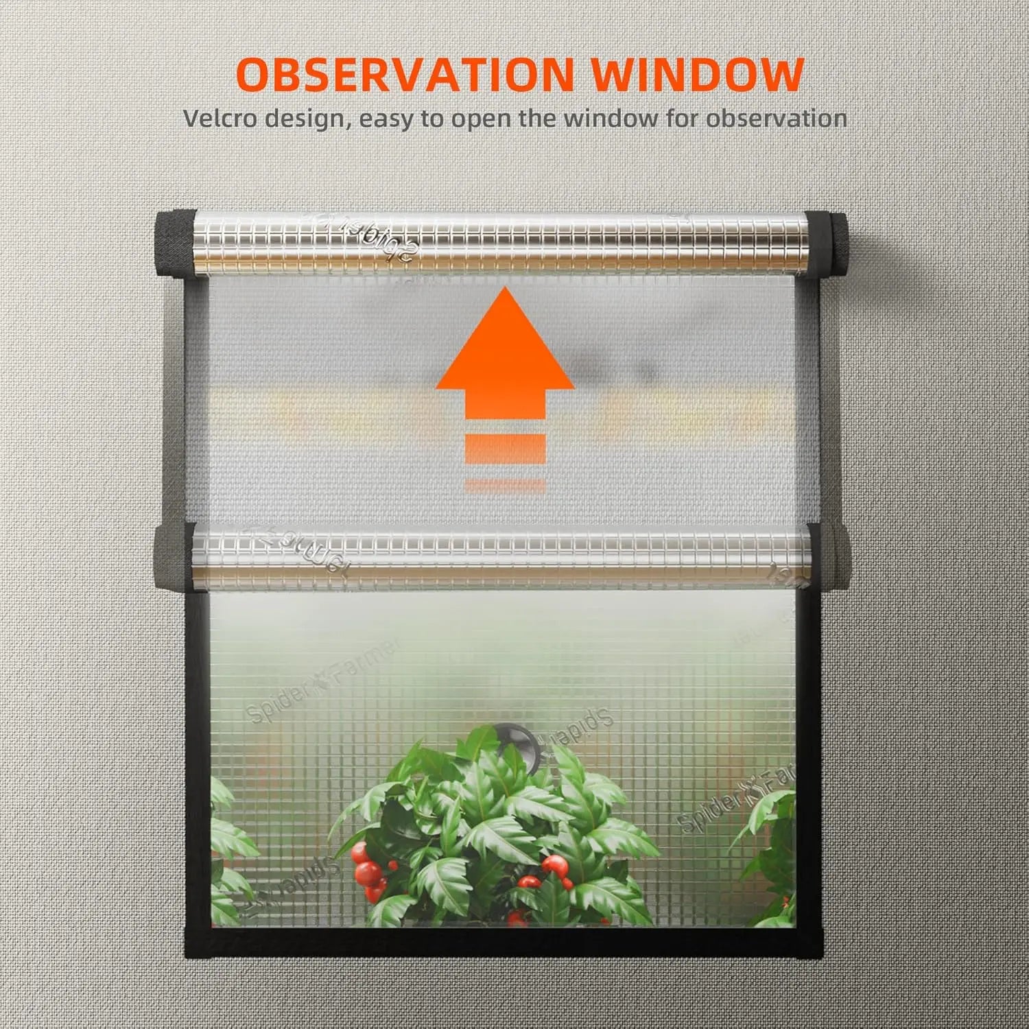 Grow Tent 3
