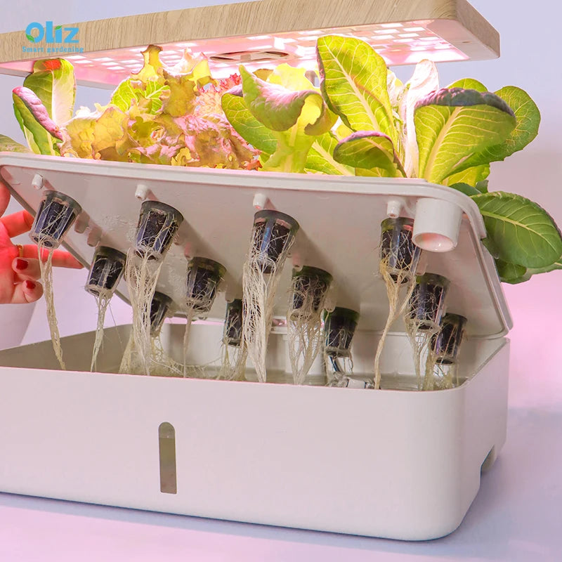 Grow Table Top