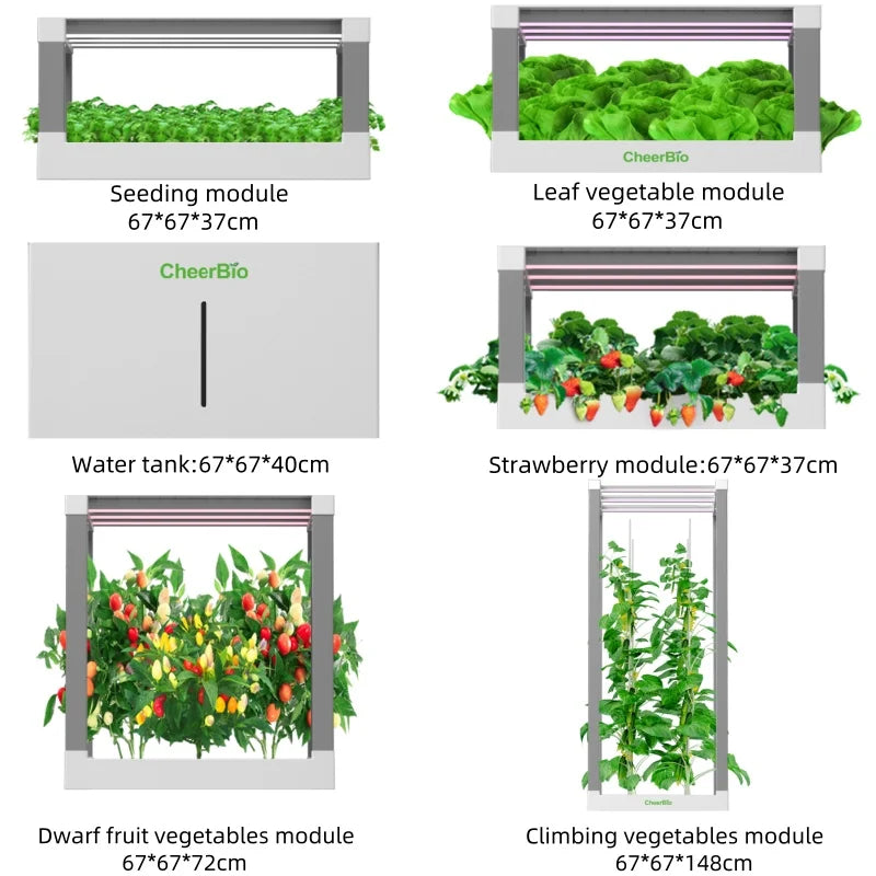 Grow Shelf
