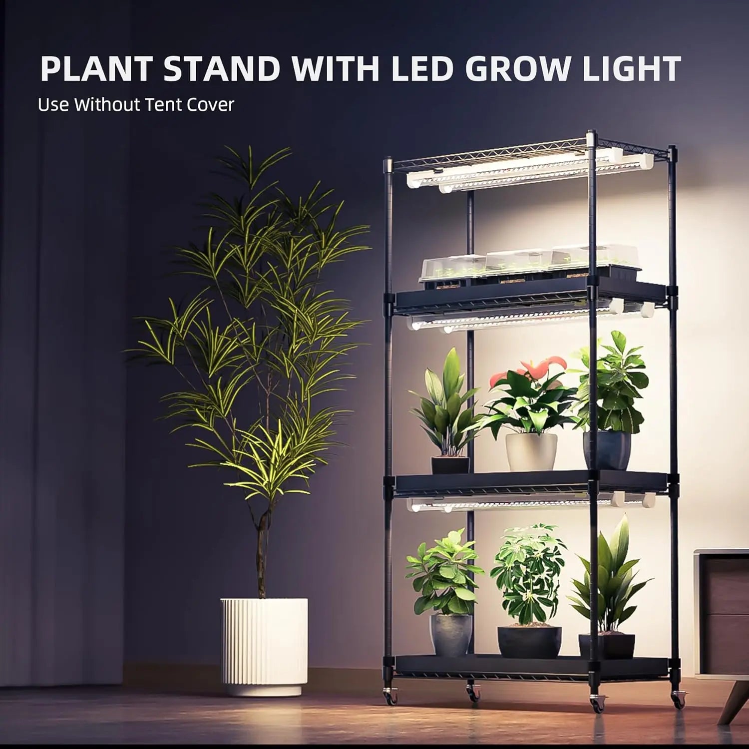 Grow Shelf 2 + tent