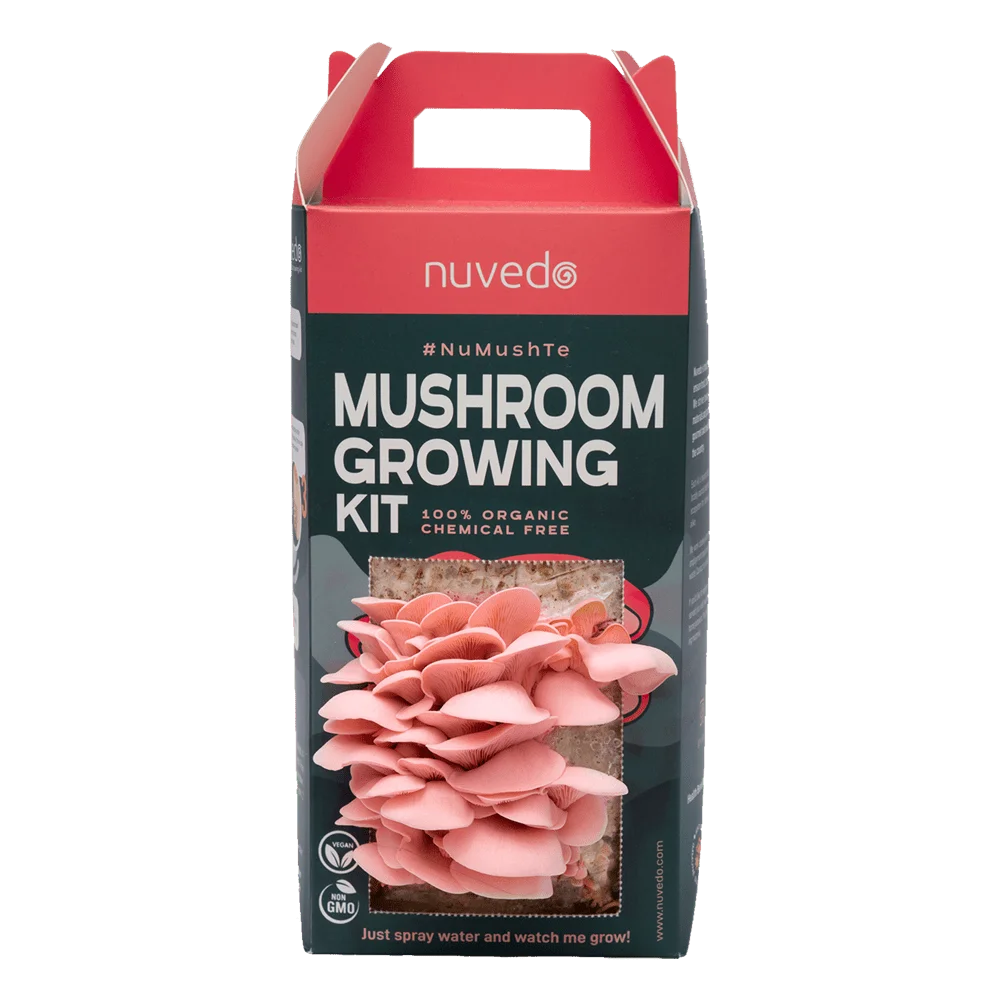 Oyster Mushroom Grow Kit