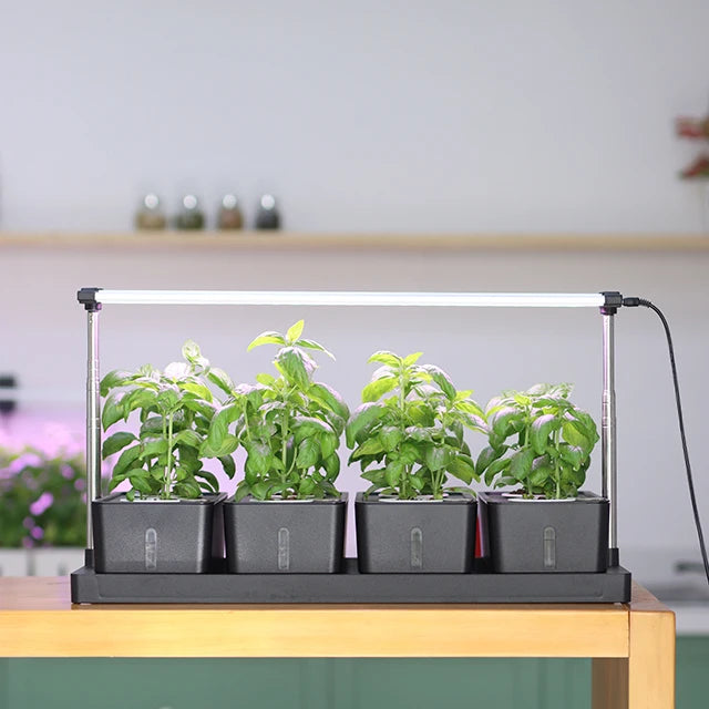 Grow Container