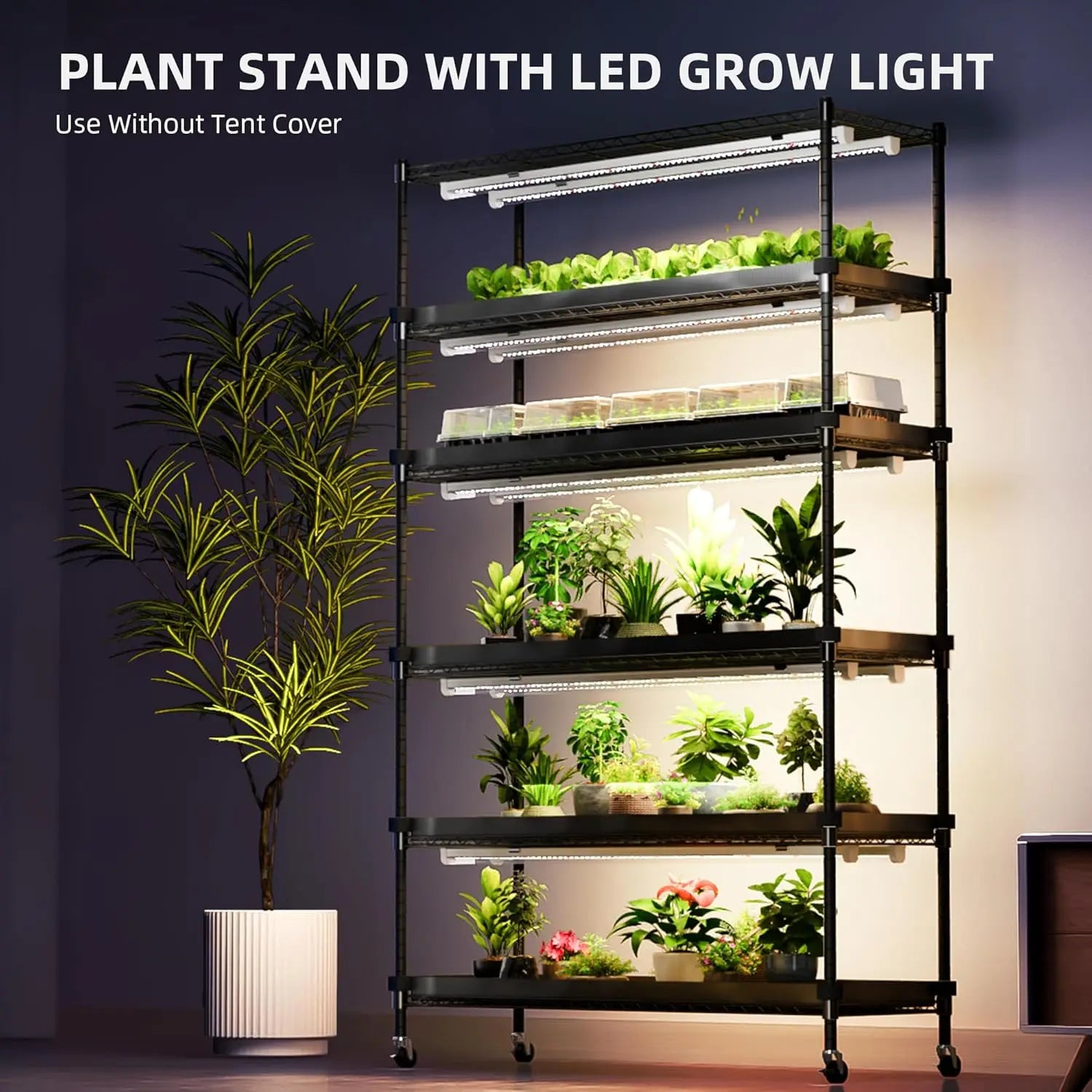 Grow Shelf 3 + tent