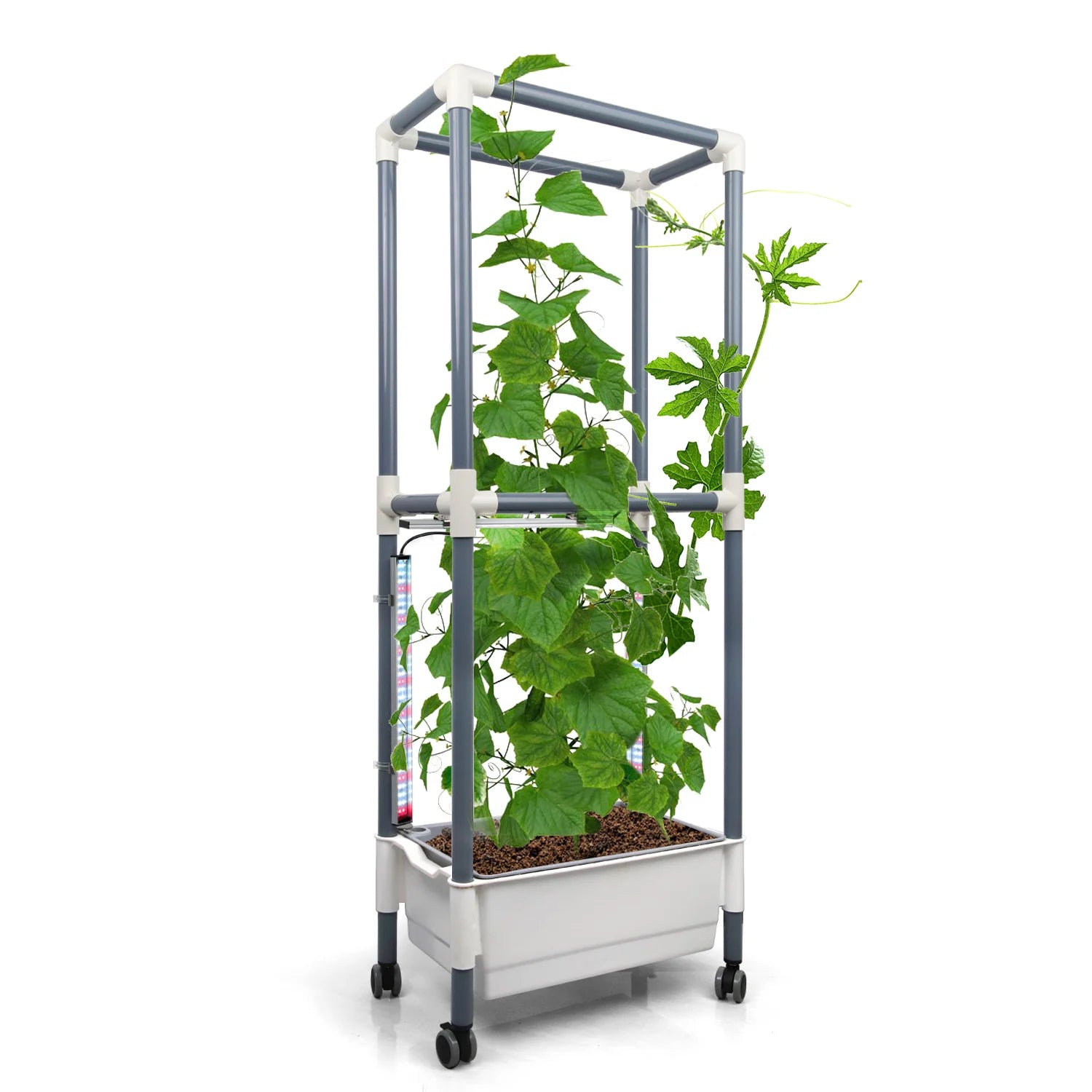 Tomato Grow Stand Trellis Cage System Home