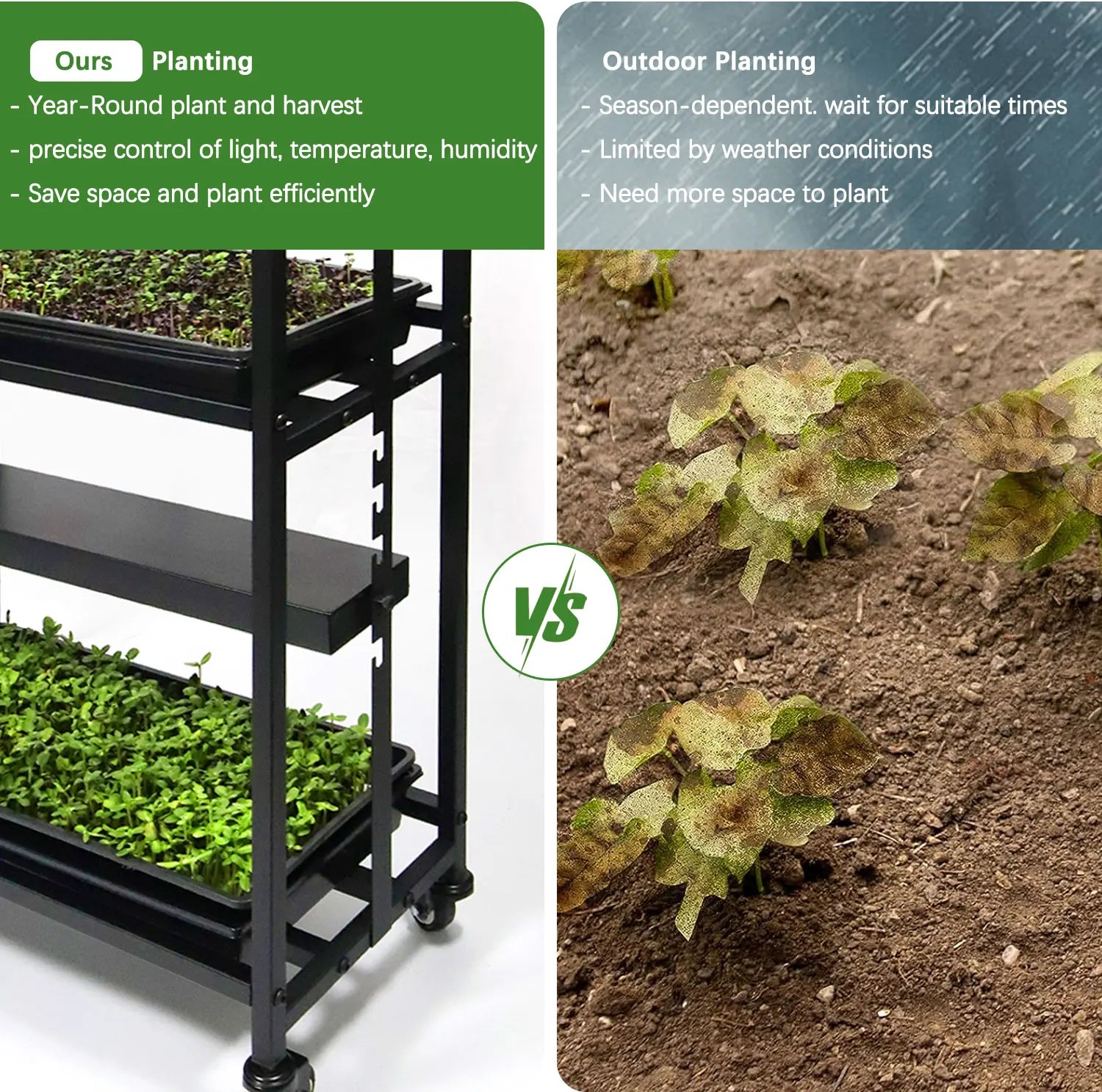 Grow Rack
