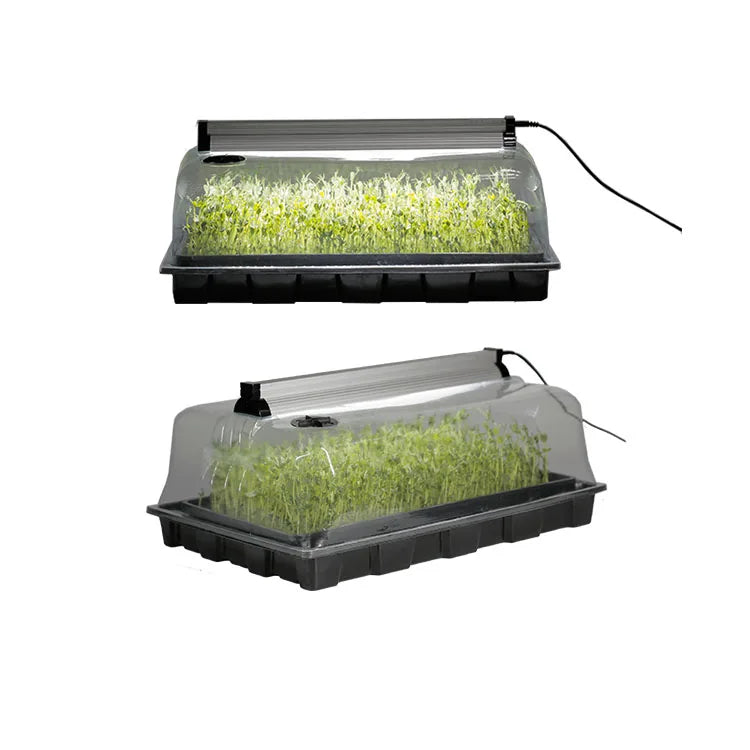 Grow Box 2