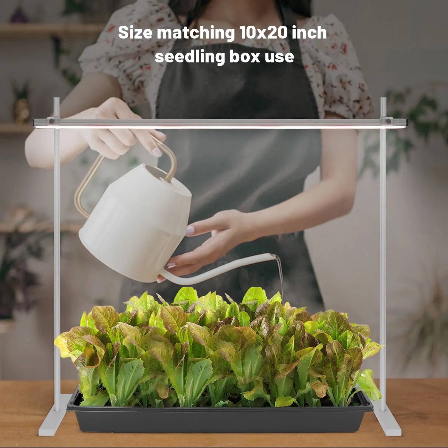 Grow Light