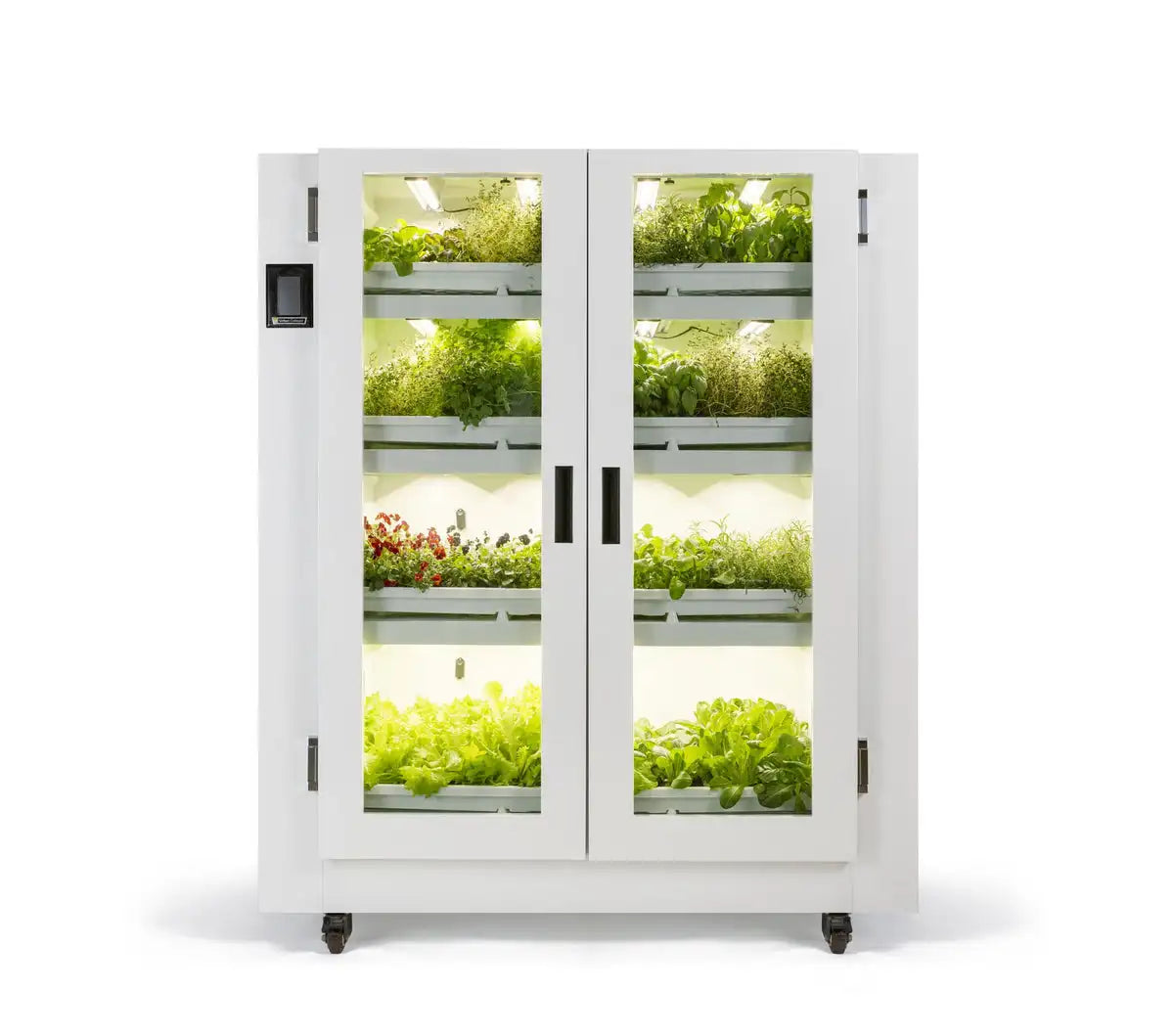 Grow Cupboard