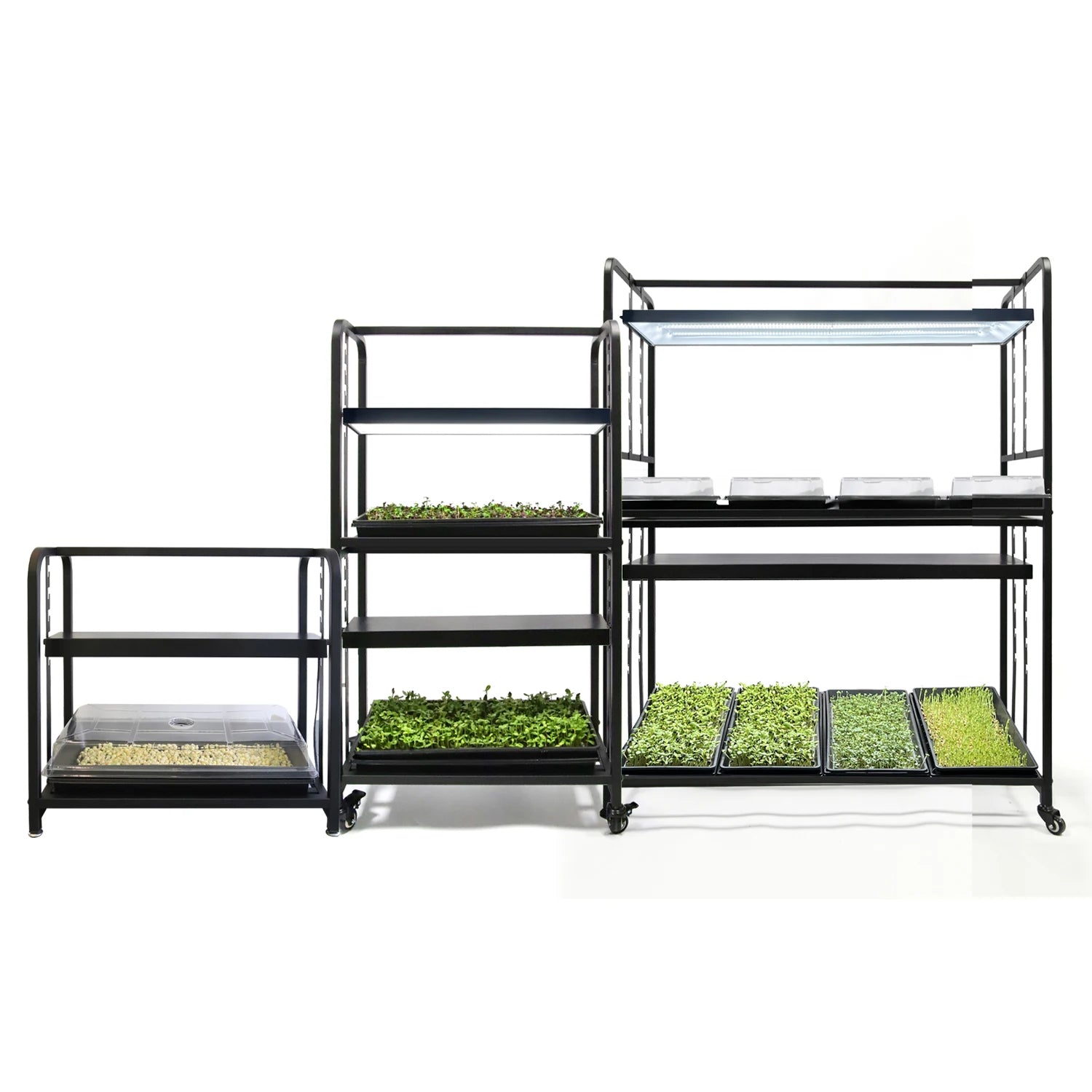 Grow Rack