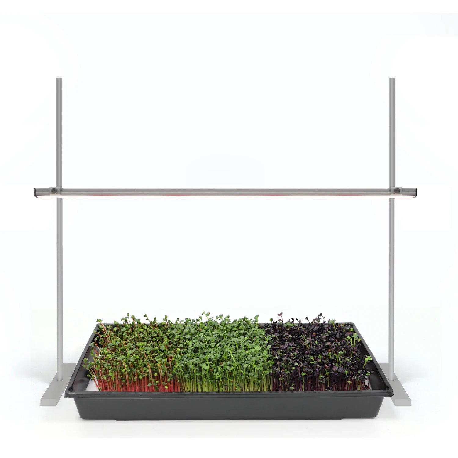 Grow Light