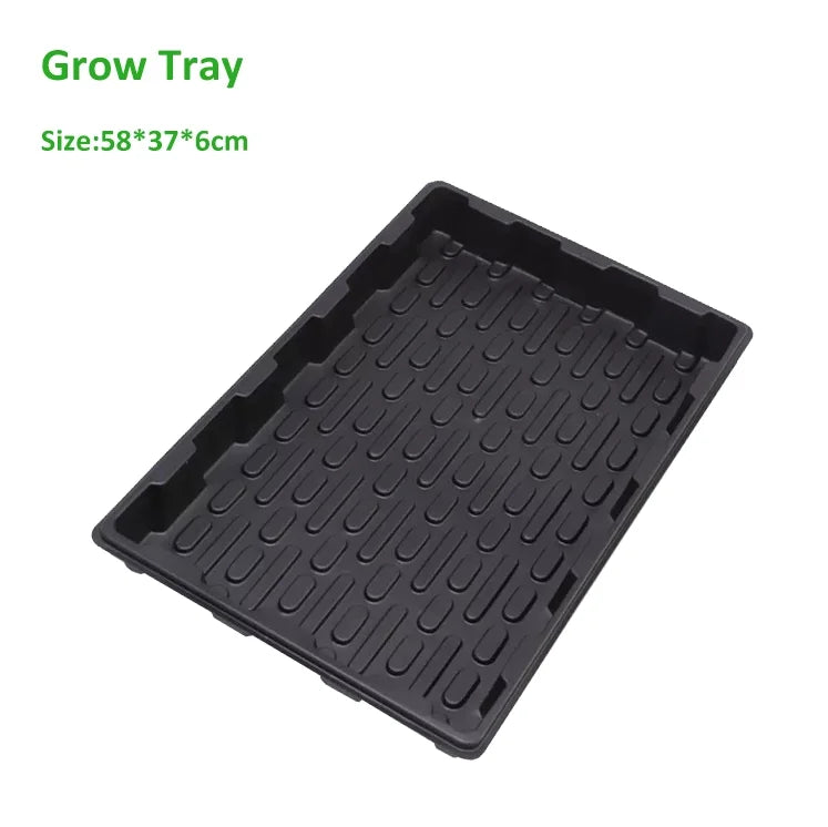 Grow Box 2