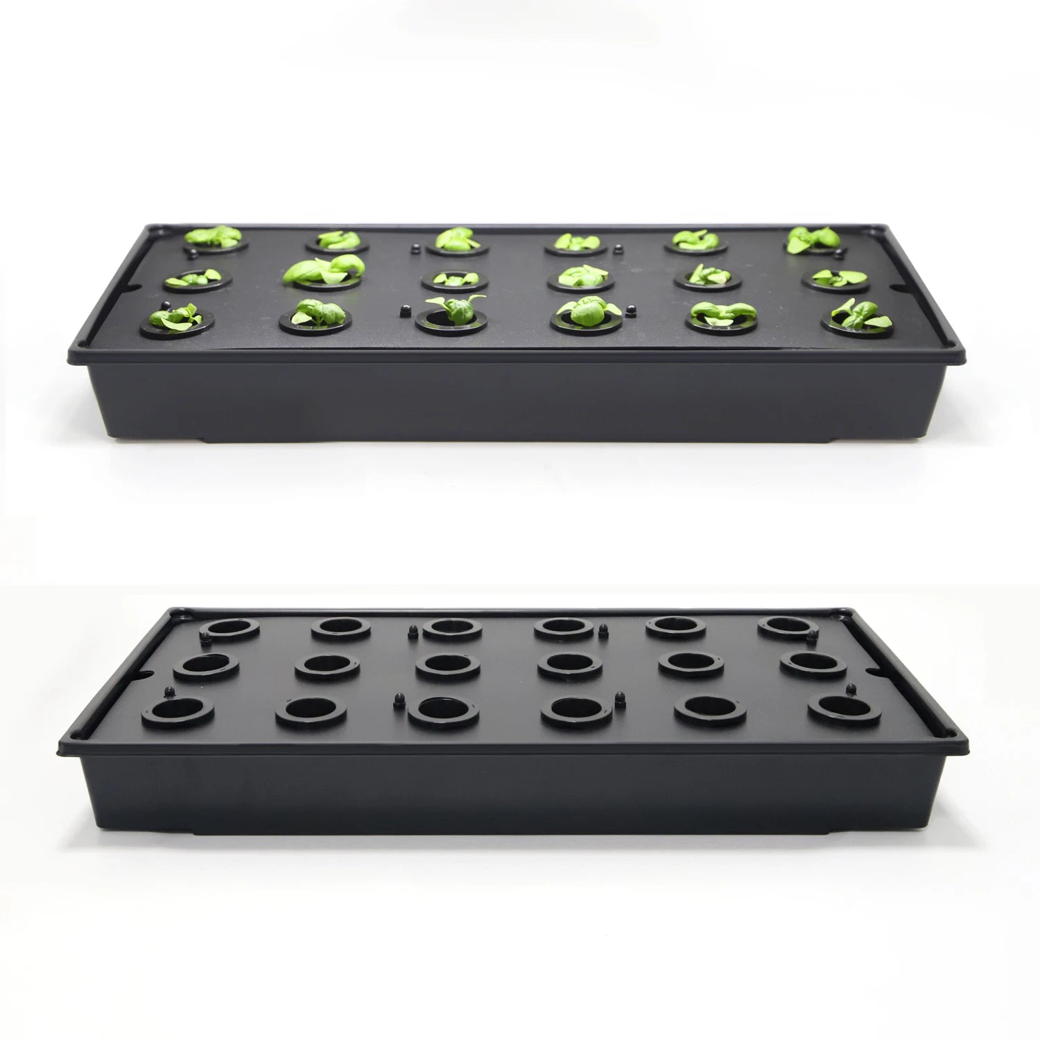 Grow Tray