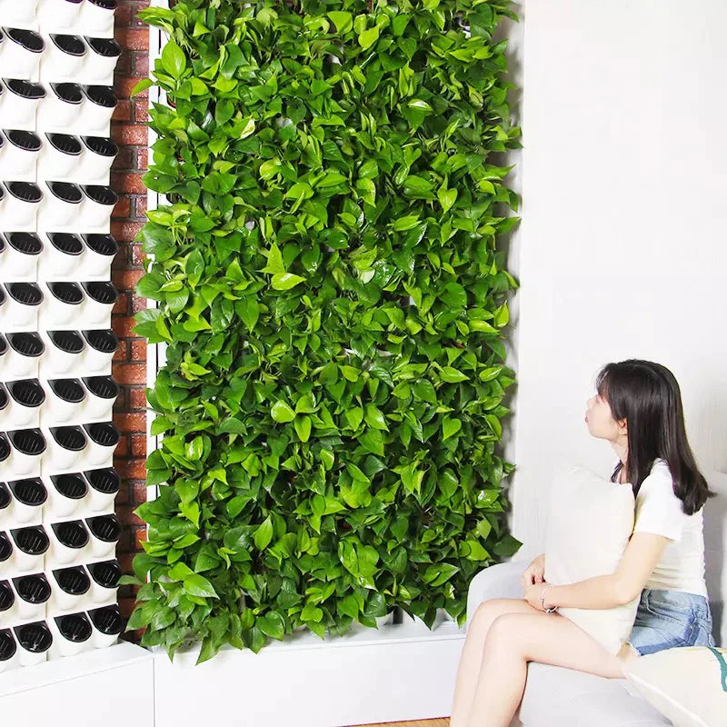 Grow Wall