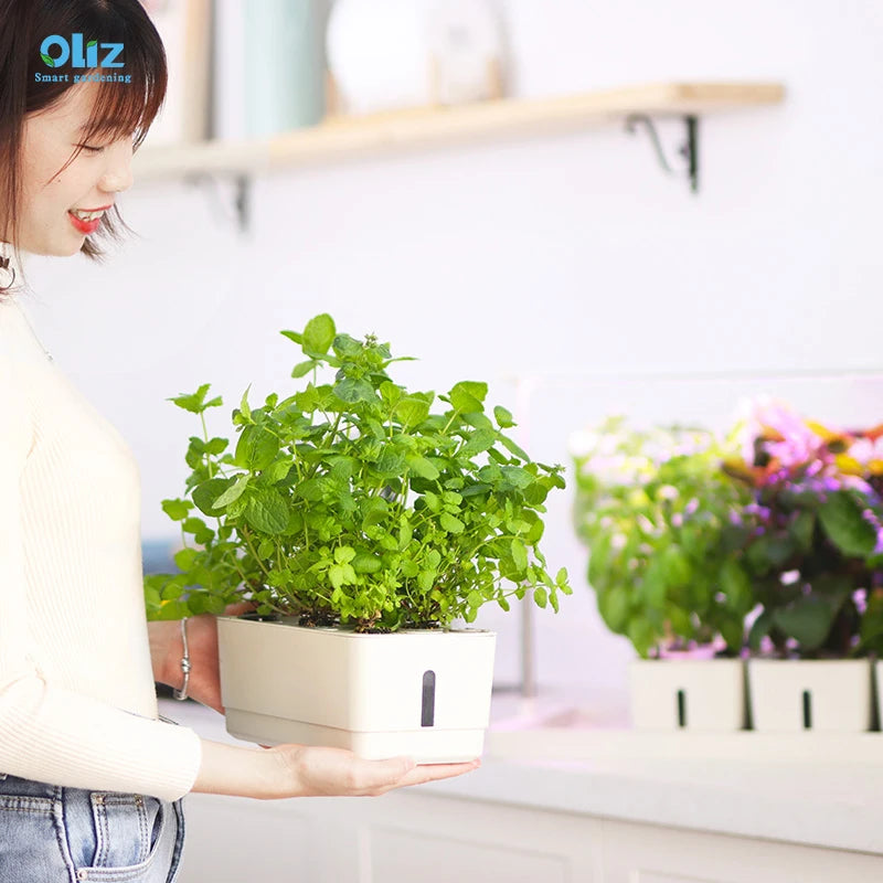 Grow Table Top