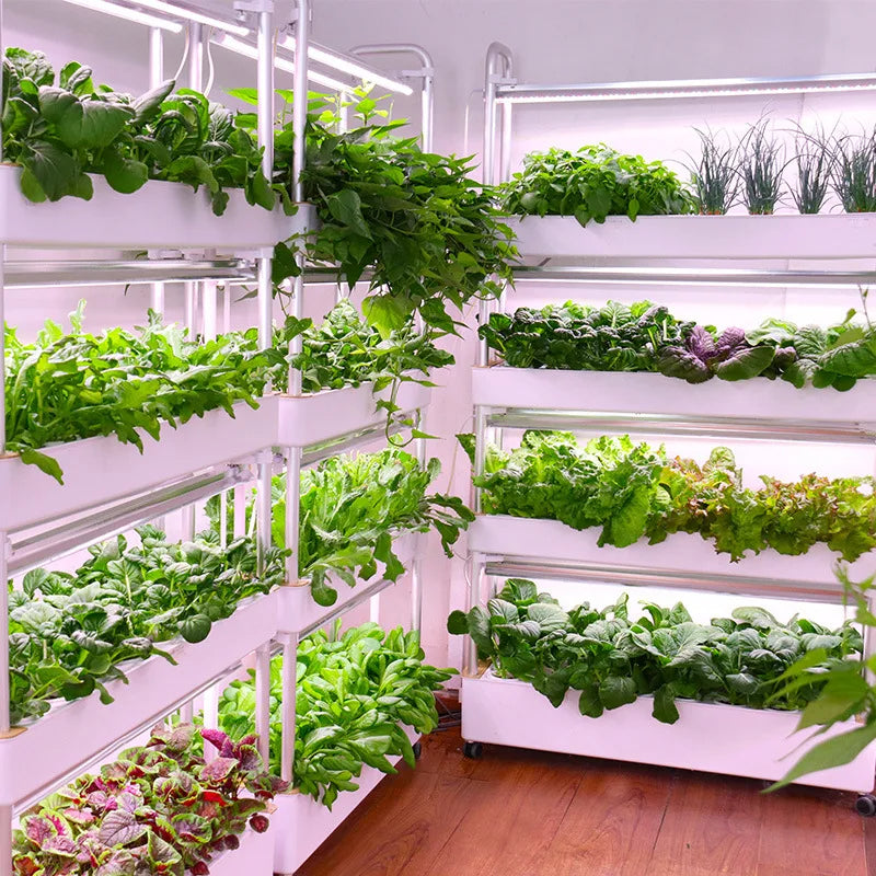 Grow Shelf 3.0