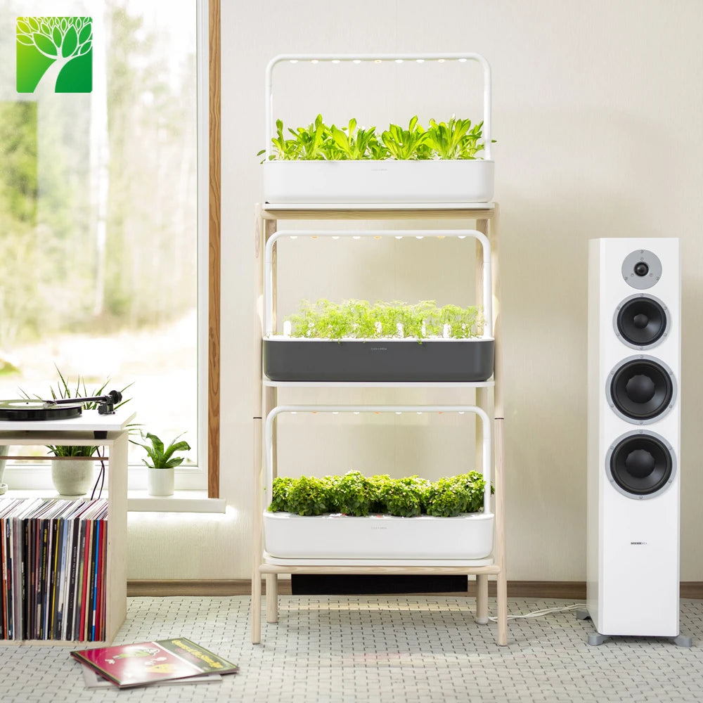 Garden Shelf