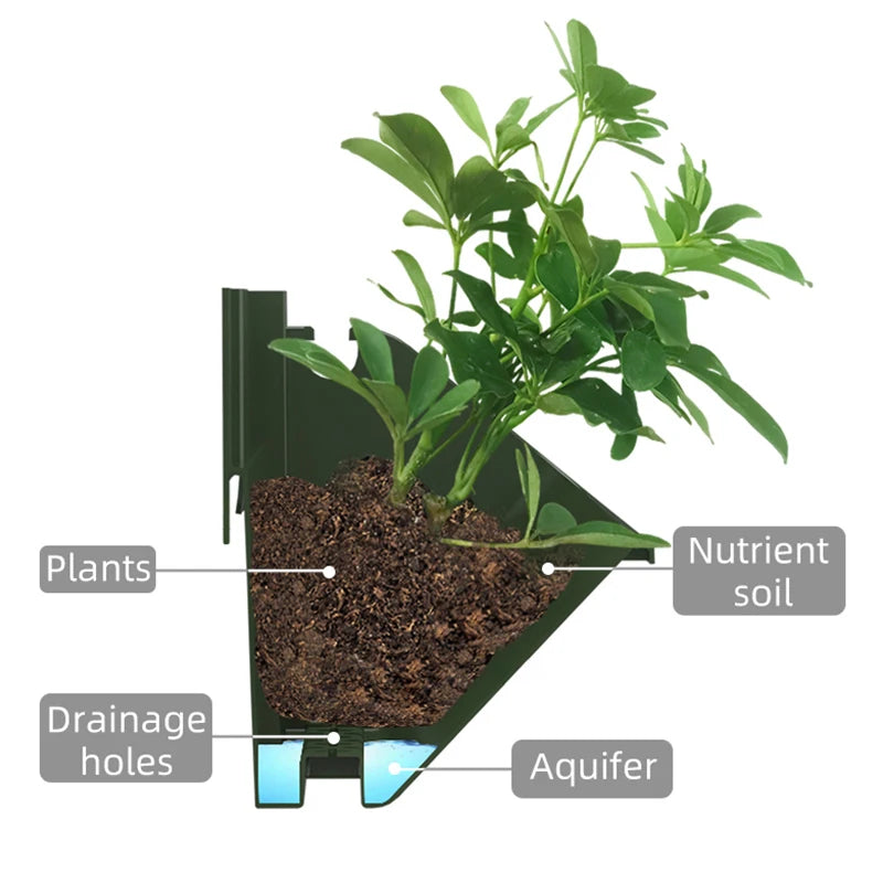 Grow Wall 3