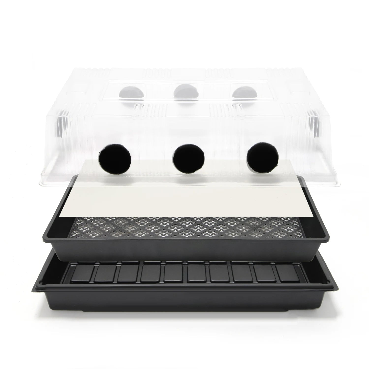 Mushroom Grow Box