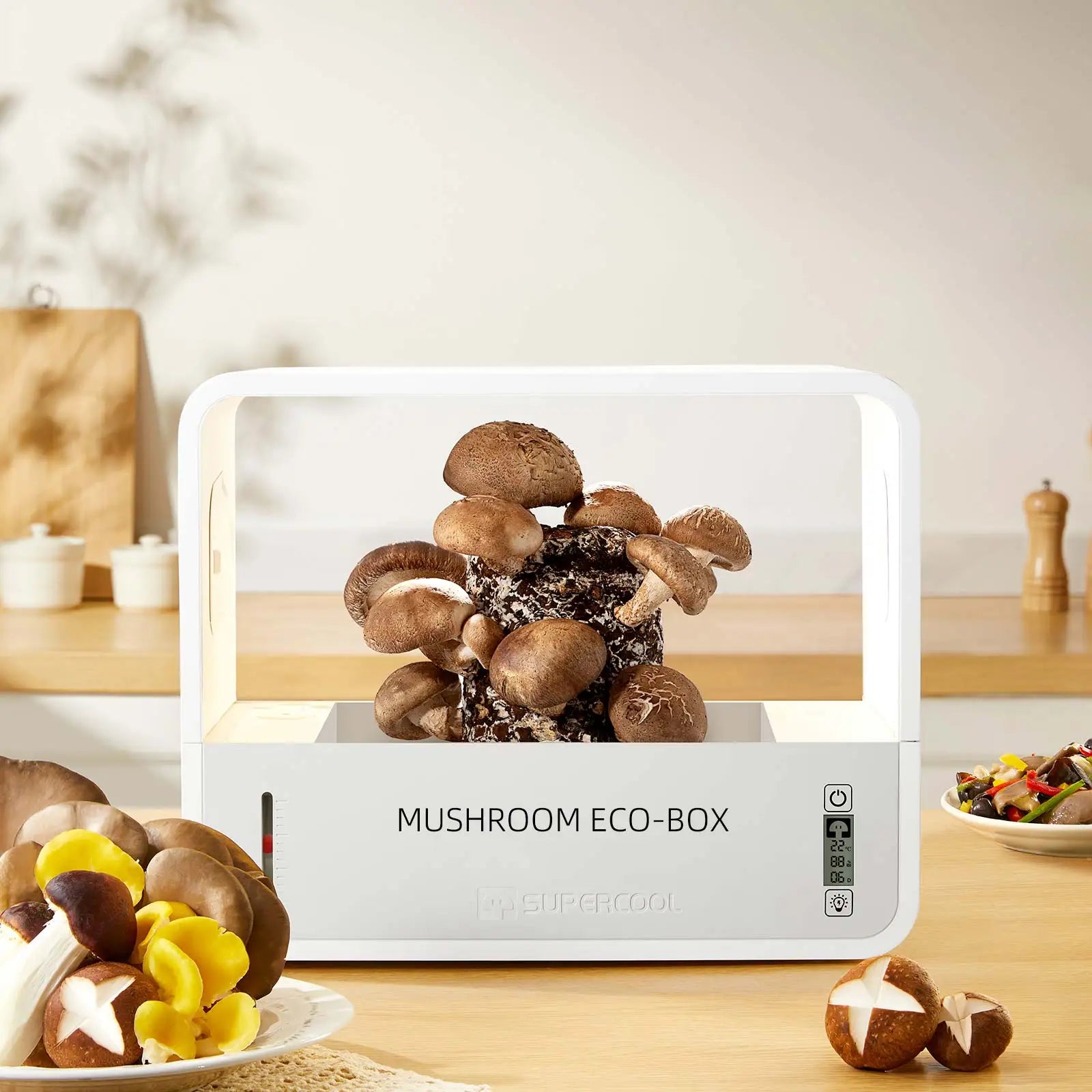 Mushroom Grow Box 2.0