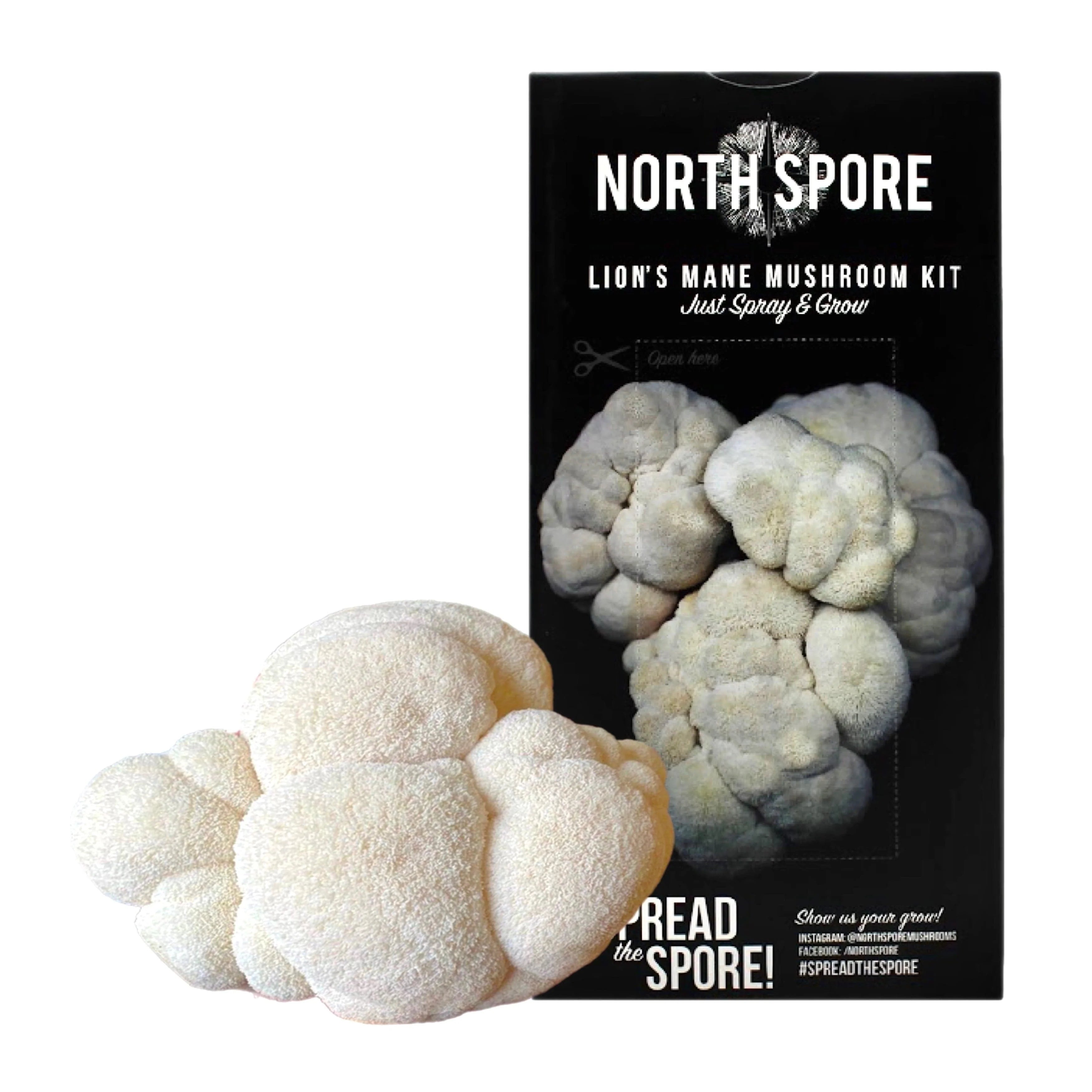 Indoor Lion's Mane Mushroom Grow Kit Home Plant Spore Mushroom Seeds Kit for Growing