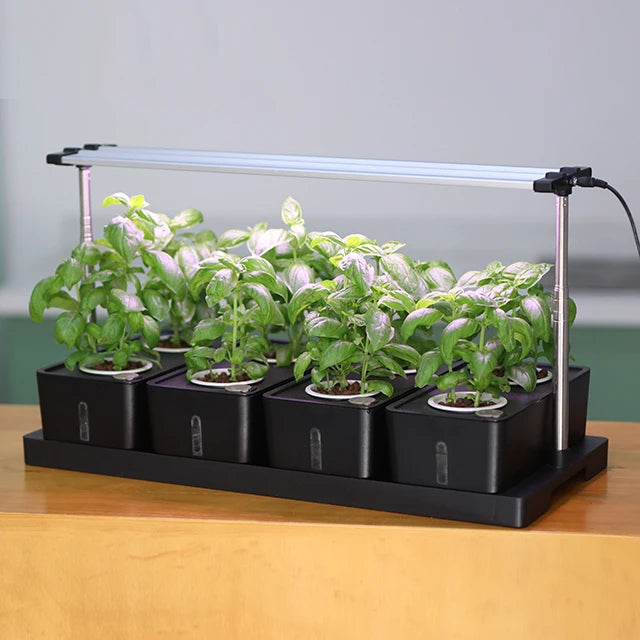 Grow Container