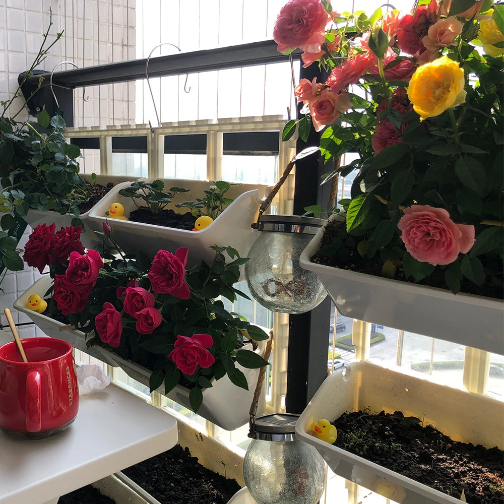 Grow Rack