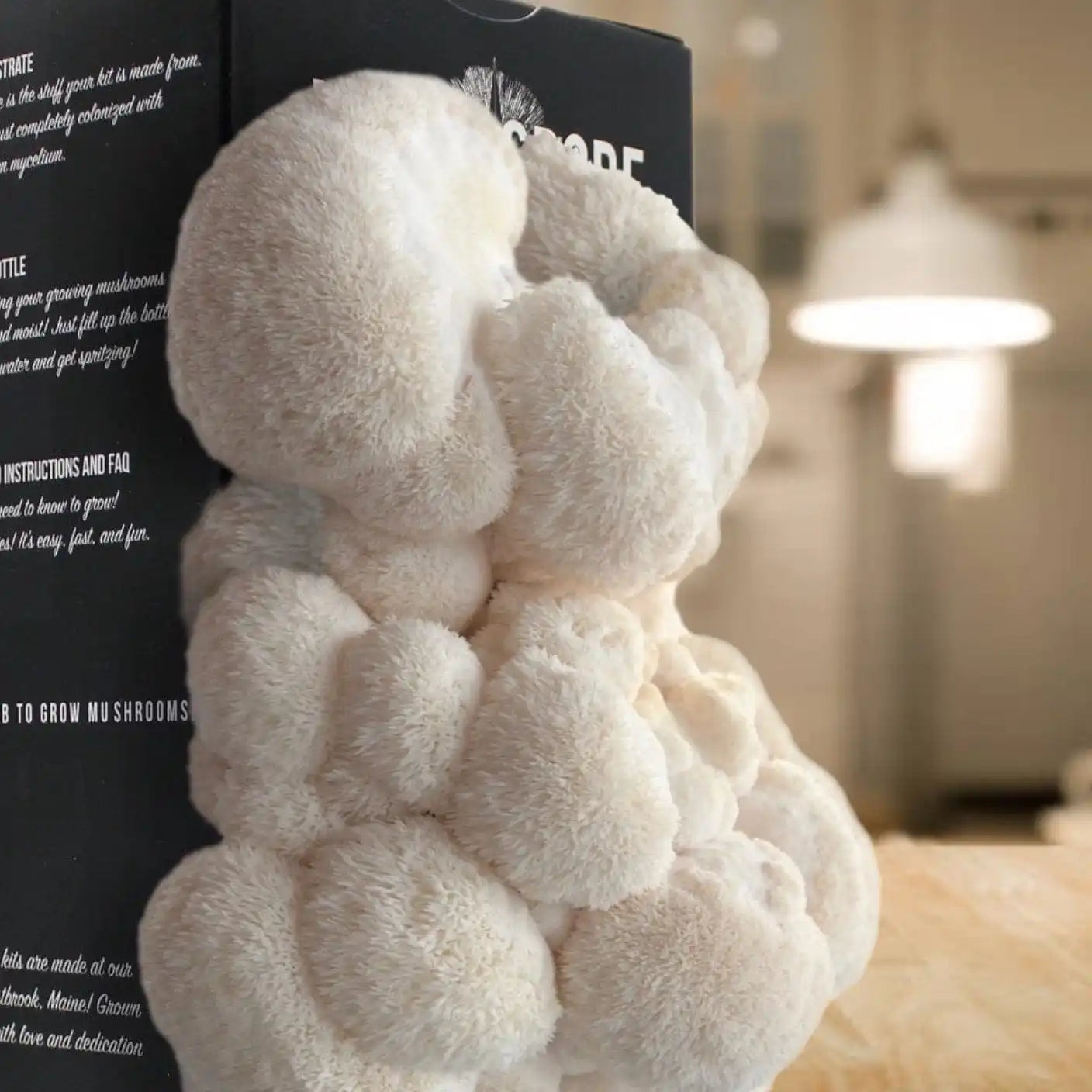 Indoor Lion's Mane Mushroom Grow Kit Home Plant Spore Mushroom Seeds Kit for Growing