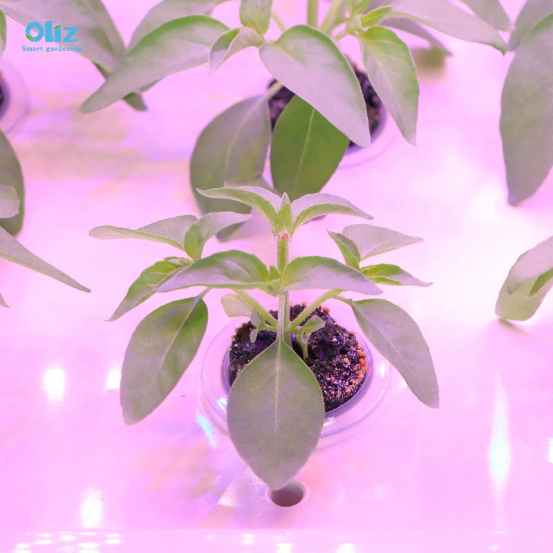 Grow Table Top