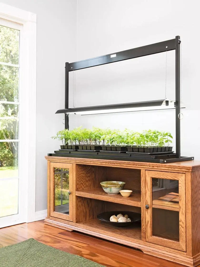 Indoor LED Tabletop Grow Light Plant Stand With Two LED 6500K Bulbs Included for Succulent Herb and Houseplant Growth