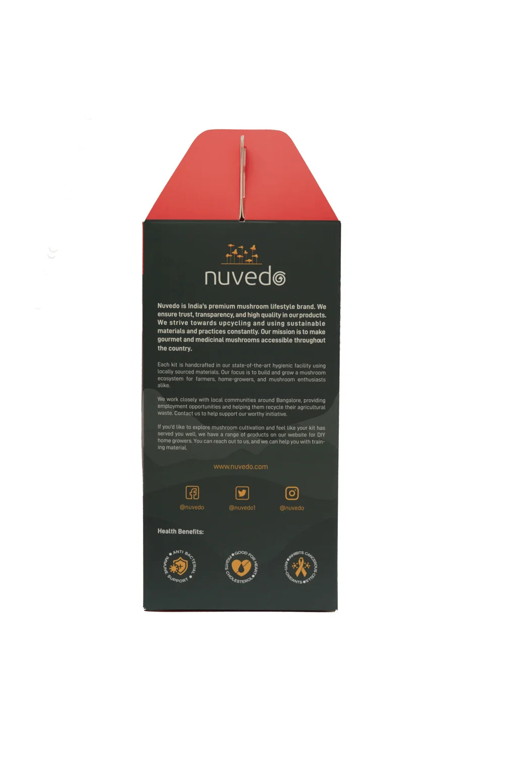 Oyster Mushroom Grow Kit