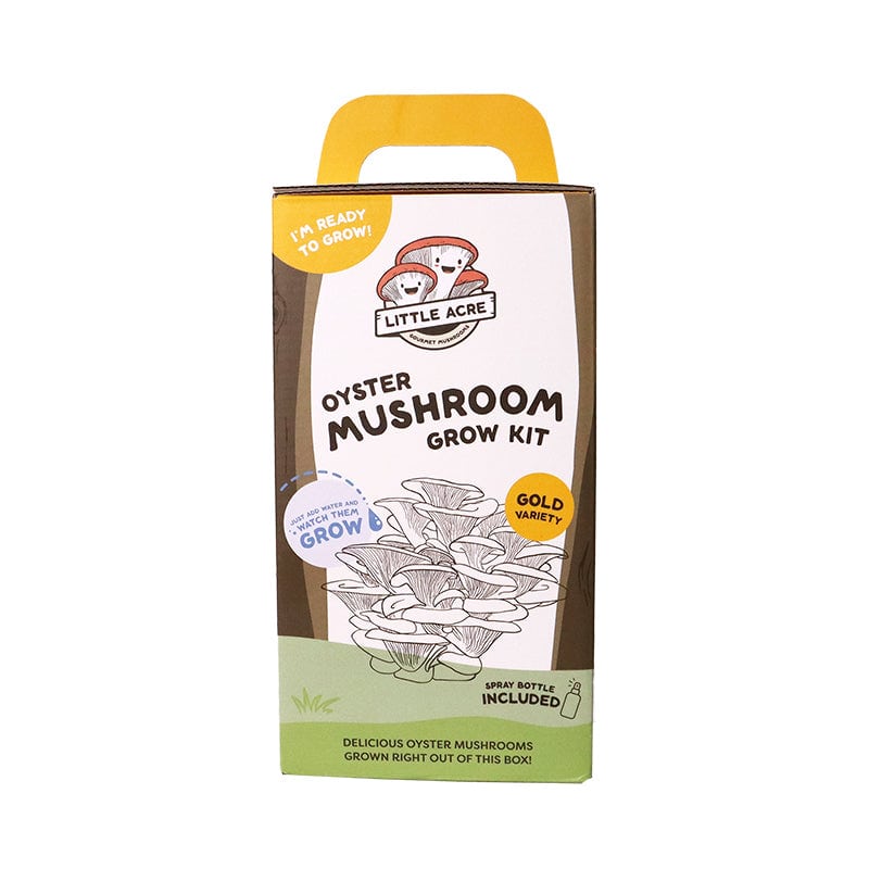 Oyster Mushroom Grow Kit