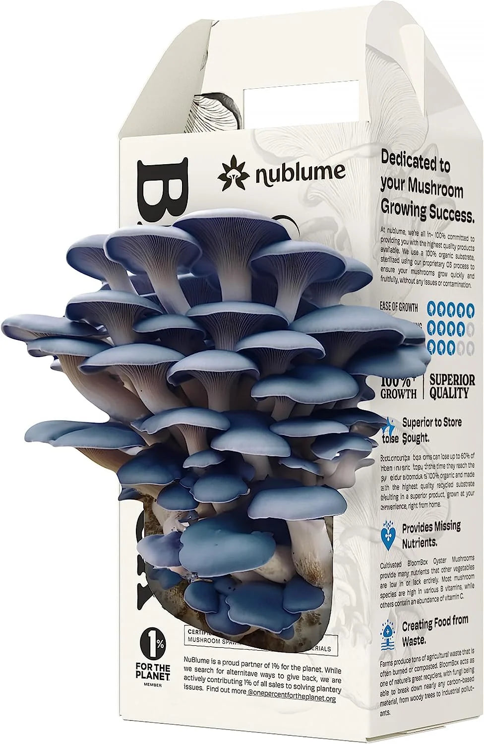 Functional Mushroom Gift Set Mushroom Hydroponic Plant Garden Shed Kit Organic Oyster Mushroom Grow Kit