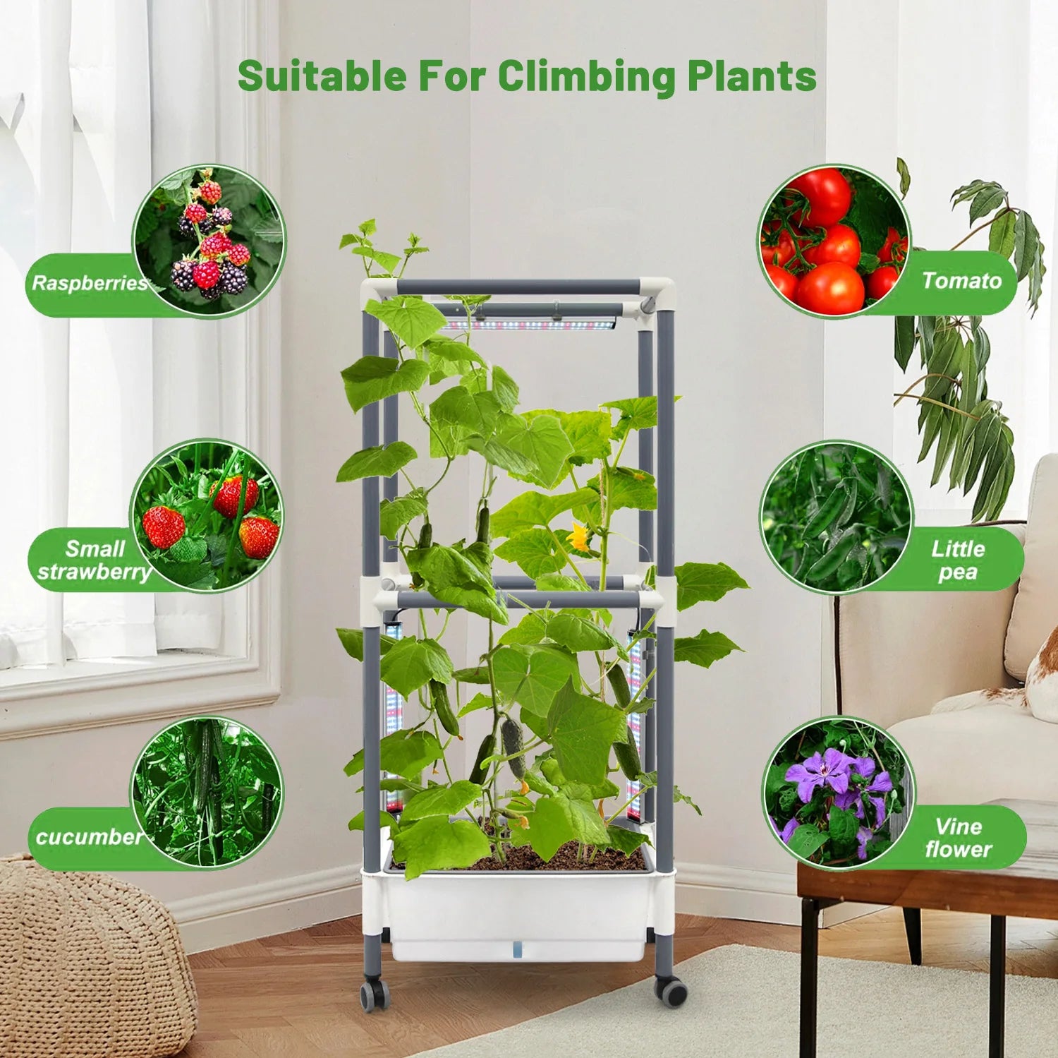 Tomato Grow Stand Trellis Cage System Home