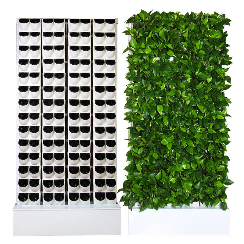 Grow Wall