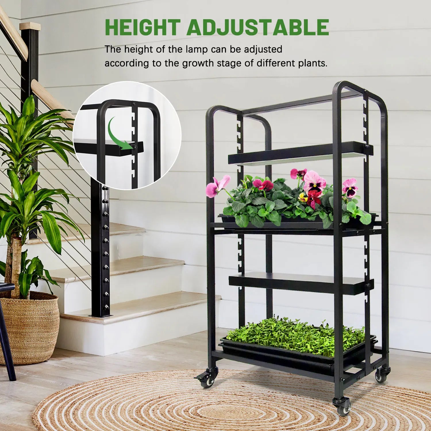 Grow Rack