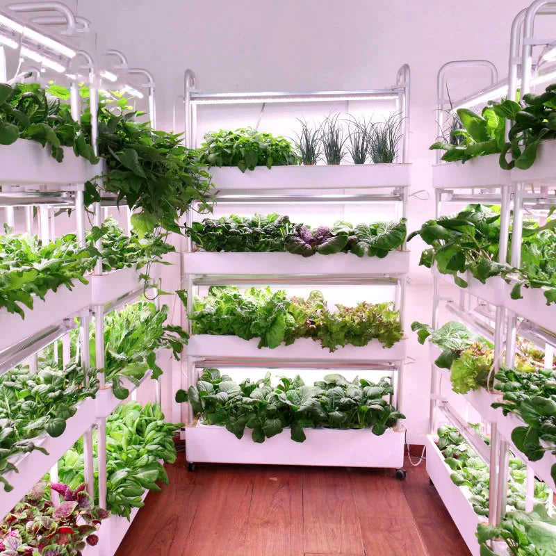 Grow Shelf 3.0